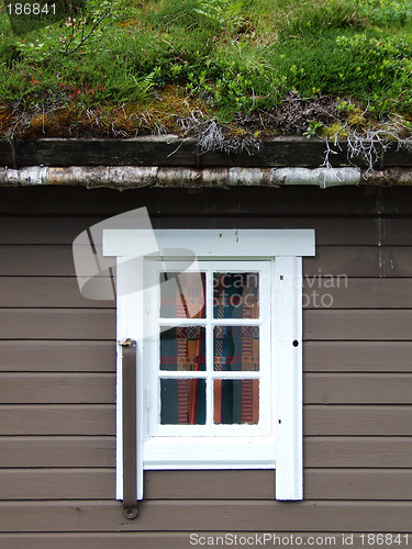 Image of Norwegian house with grass on the roof