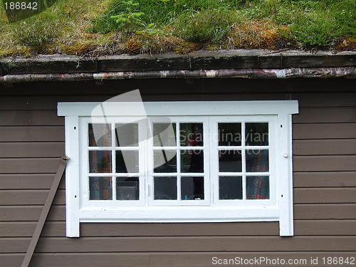 Image of White window and roof with grass