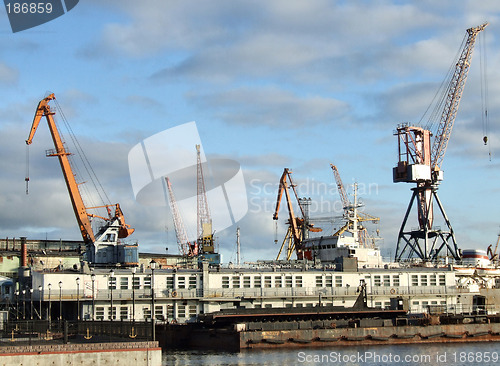 Image of Busy seaport - cargo cranes