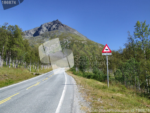 Image of Scenic road and reindeer warning