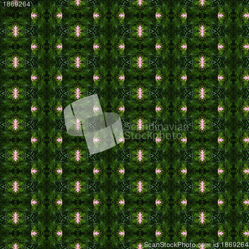 Image of Christmas tree background