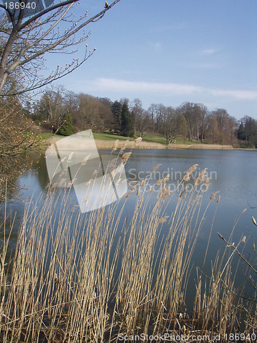 Image of Straw