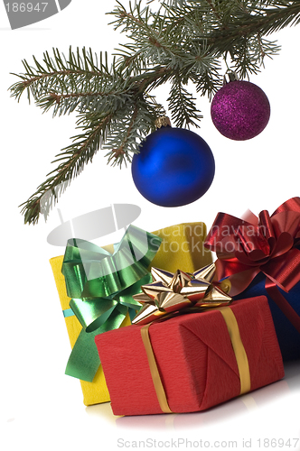 Image of tree