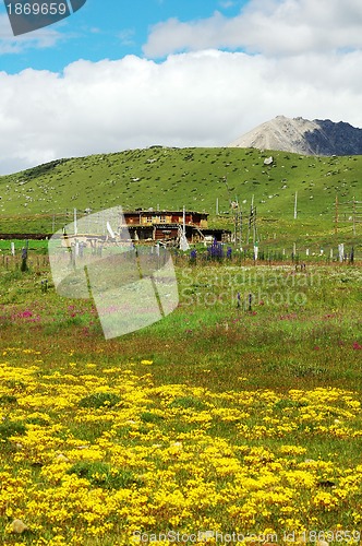 Image of Landscape of grassland