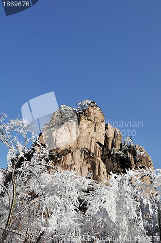 Image of Rime and mountain in winter