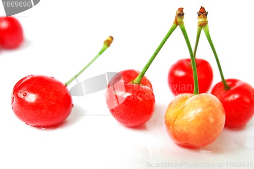 Image of Cherry fruits