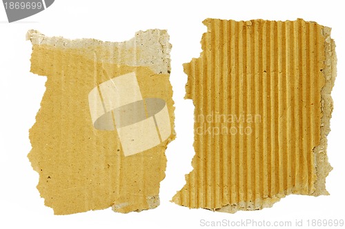 Image of Torn cardboard pieces