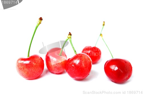 Image of Cherry fruits