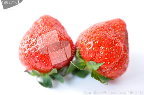 Image of Strawberry