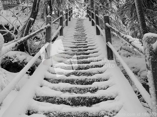 Image of Snowy Stairs