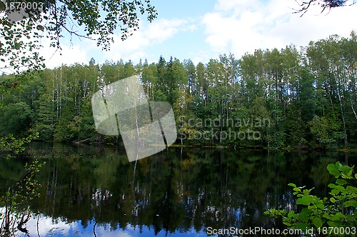 Image of Reflection of the green forest 