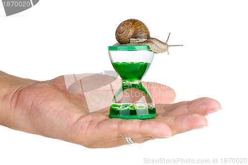 Image of Snail and gel hourglass on the palm