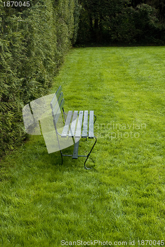 Image of Green Bench in a Garden