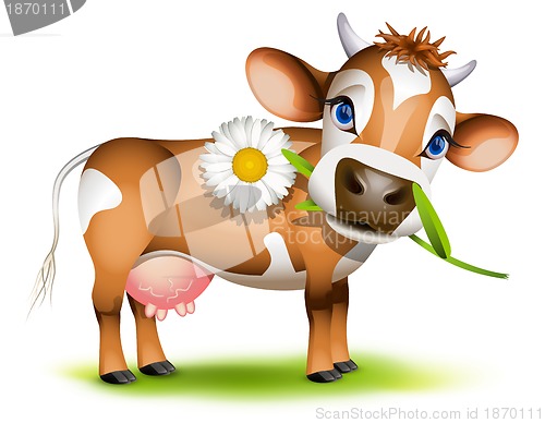 Image of Little Jersey cow eating daisy
