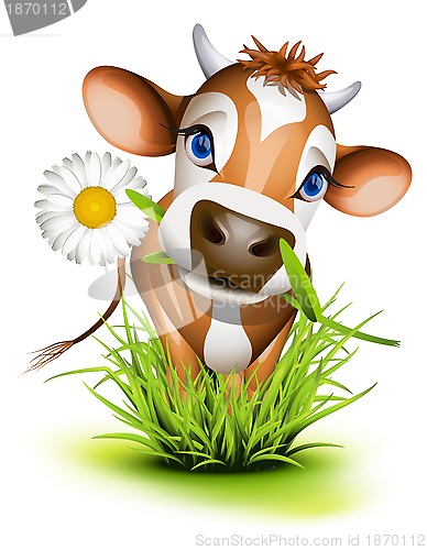 Image of Jersey cow in grass
