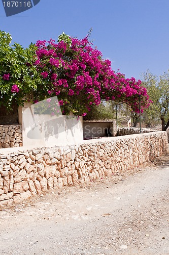 Image of mediterranean brick entrance garden with pink flowers