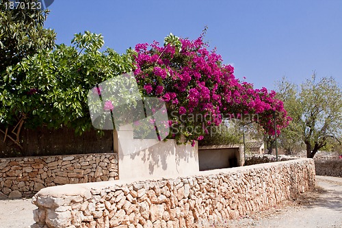 Image of mediterranean brick entrance garden with pink flowers