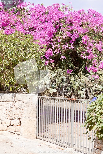 Image of mediterranean brick entrance garden with pink flowers