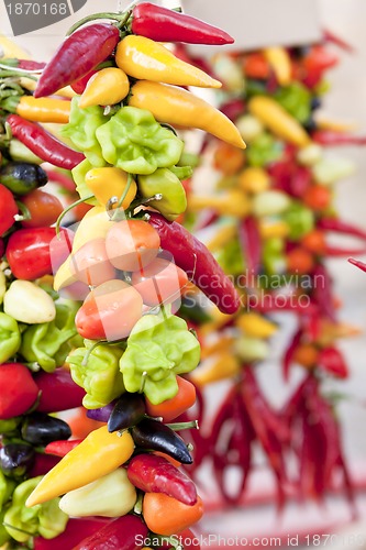 Image of collection of different colorful pepper on market