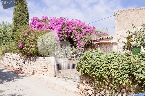 Image of mediterranean brick entrance garden with pink flowers