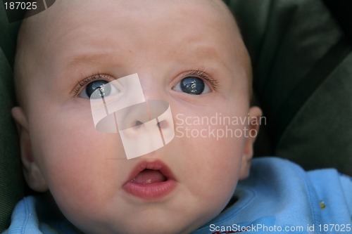 Image of Curious baby