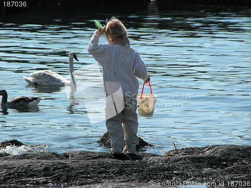 Image of The girl and the swan