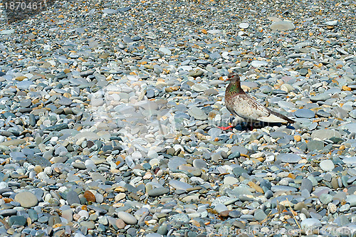 Image of texture beach