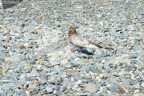 Image of texture beach