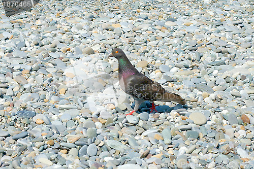 Image of texture beach