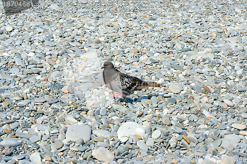 Image of texture beach