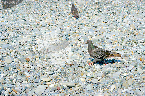 Image of texture beach