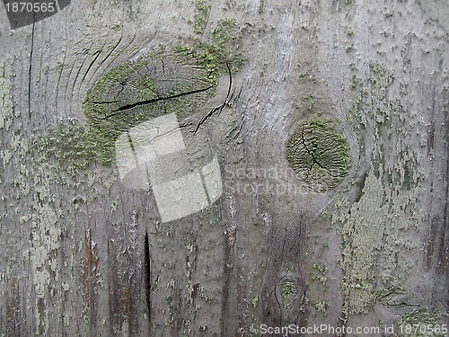 Image of Weathered wooden texture     