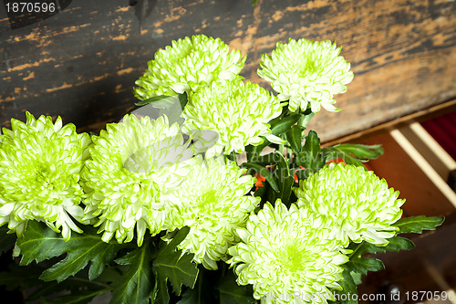 Image of green and white flowers