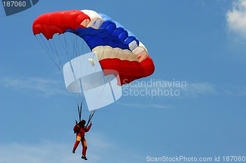 Image of Skydiving
