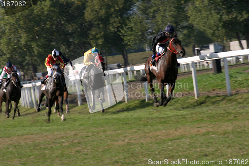 Image of horse racing