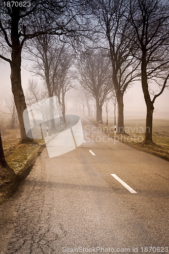 Image of road with trees