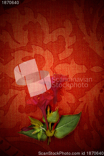 Image of card, red passion and flower
