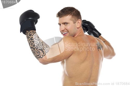 Image of Portrait of male winner boxer, champion