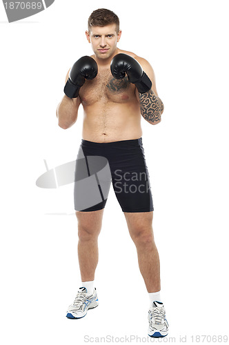 Image of Full length portrait of attractive boxer posing