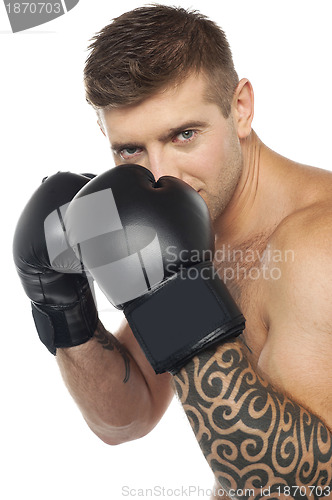 Image of Portrait of caucasian male boxer ready to punch