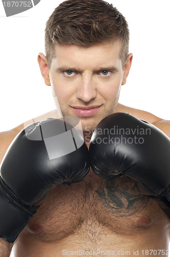 Image of no caption