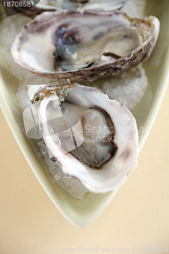 Image of Oysters Natural