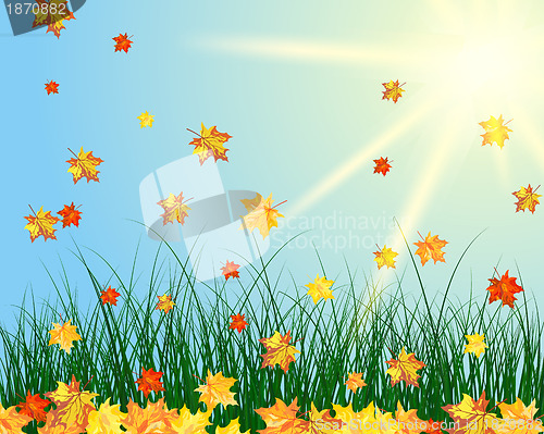Image of sun meadow
