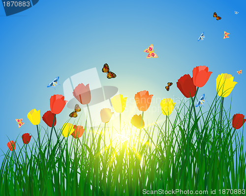 Image of sun meadow