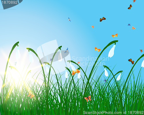 Image of sun meadow