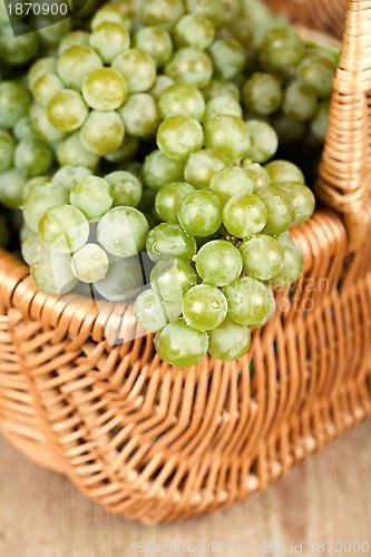 Image of basket with fresh green grapes