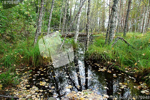Image of River 