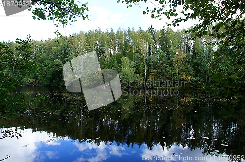 Image of Reflection of the green forest 