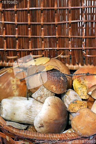 Image of Basket with mushrooms