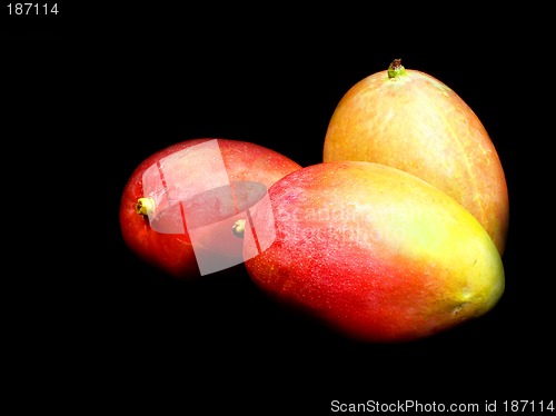 Image of Mangos